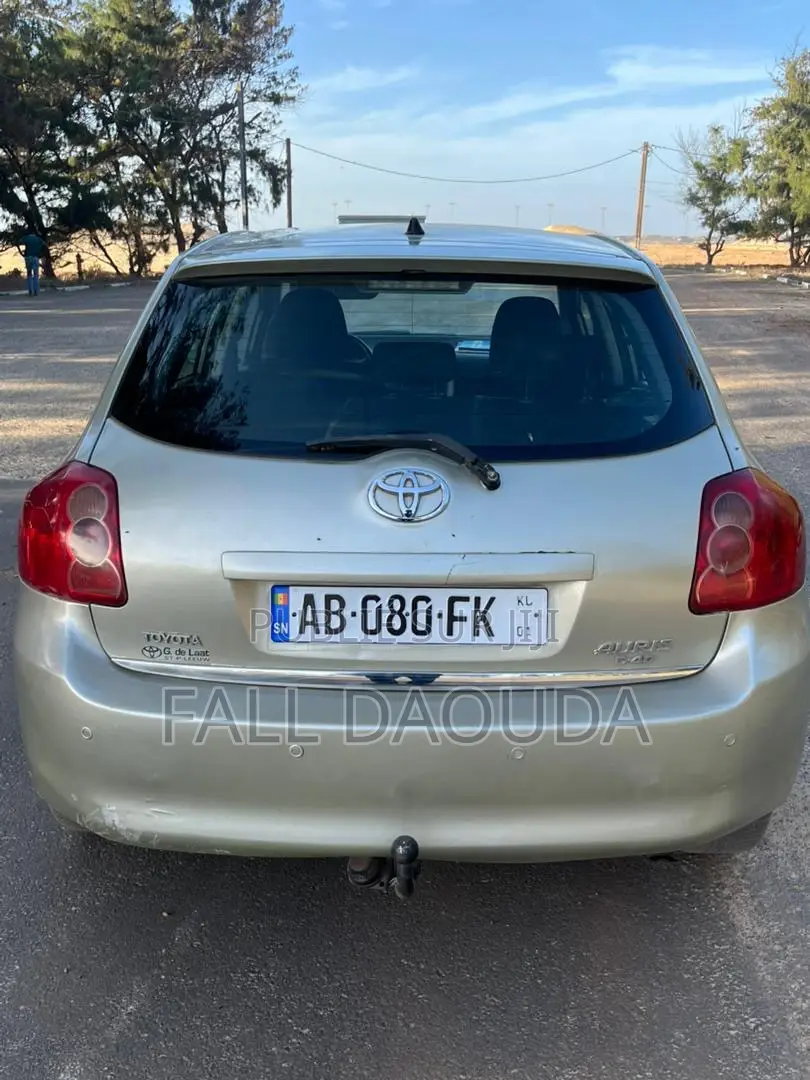 Toyota Auris 2010 Gris