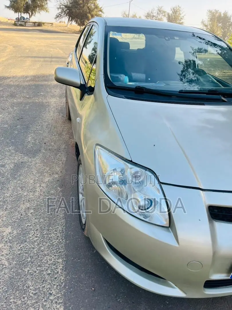 Toyota Auris 2010 Gris