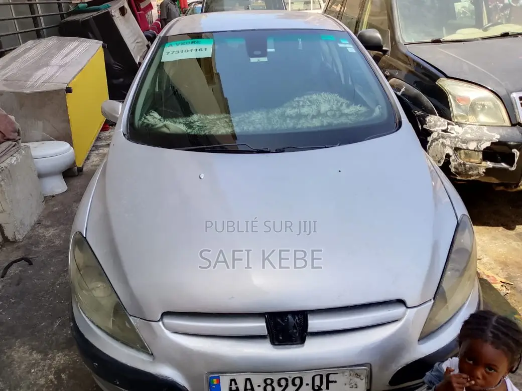 Peugeot 307 2012 Gris