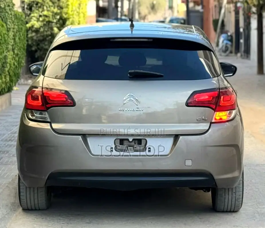Citroen C4 2015 Gris