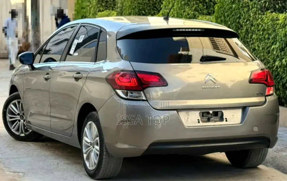 Citroen C4 2015 Gris