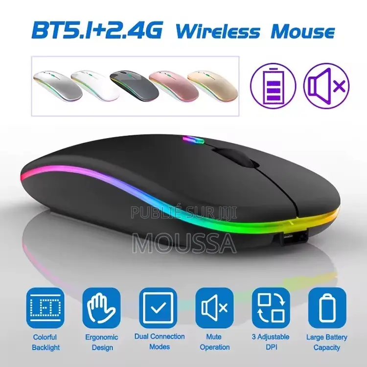 Souris Sans Fil (Wireless Mouse) – Design Moderne Performance