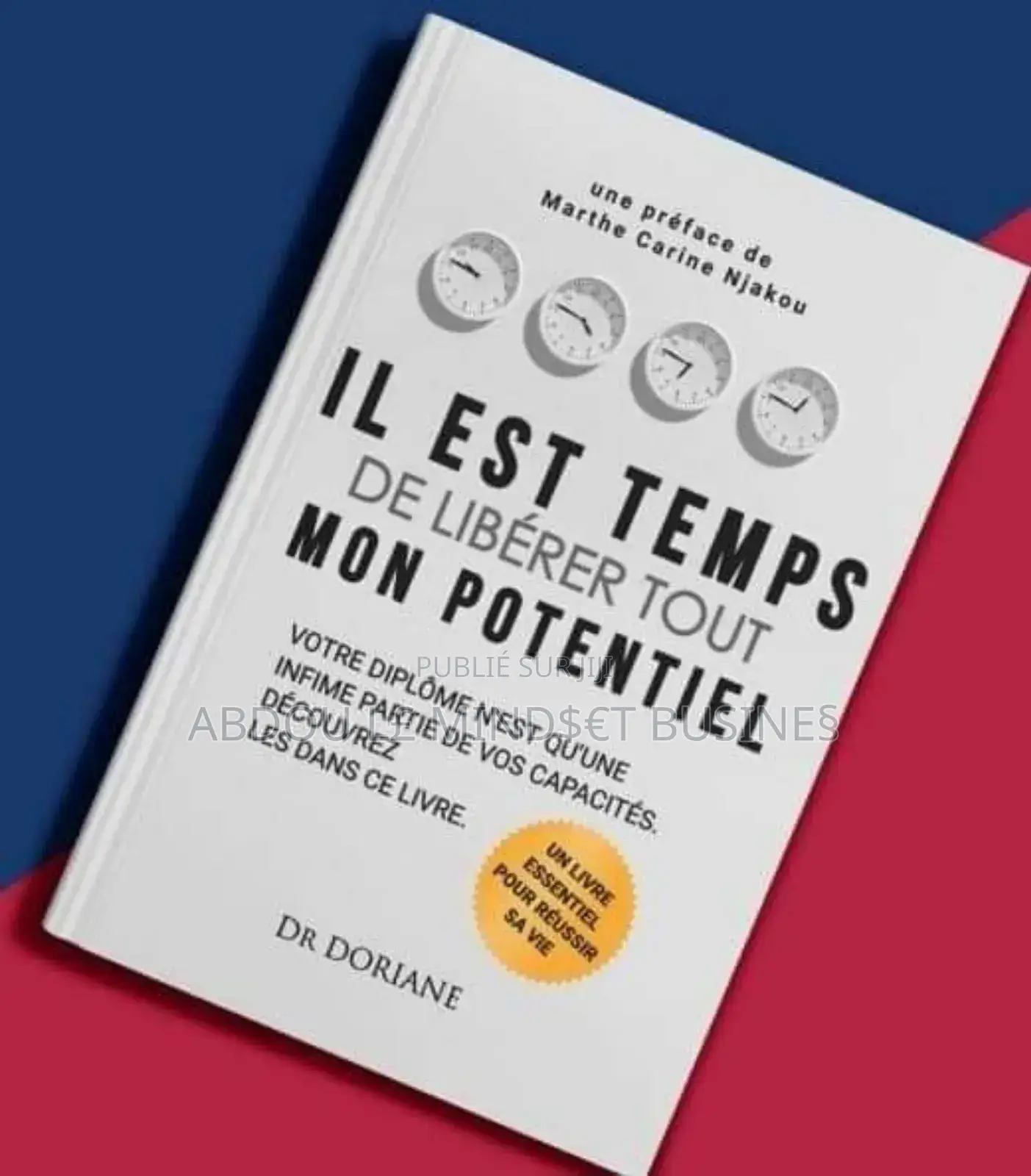 Livre : Il Est Temps De Libérer Tout Mon Potentiel Disponible