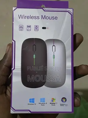 Souris Sans Fil (Wireless Mouse) – Design Moderne Performance