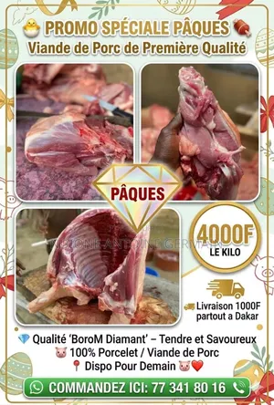 Vente De Viande De Porcelain en Gros Comme Details