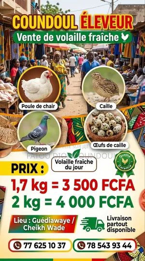 Éleveur De Caille Et De Pigeon