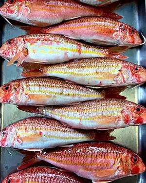 Gr At Nnie~Business Vente En Ligne De Divers Produits