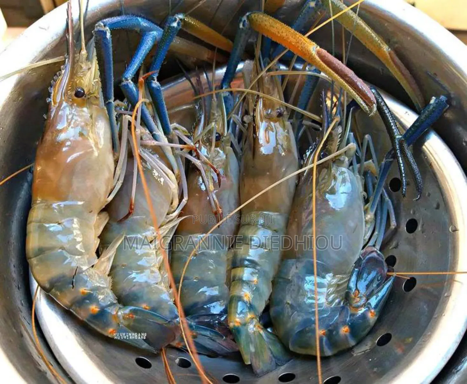 Gr At Nnie~Business Vente En Ligne De Divers Produits