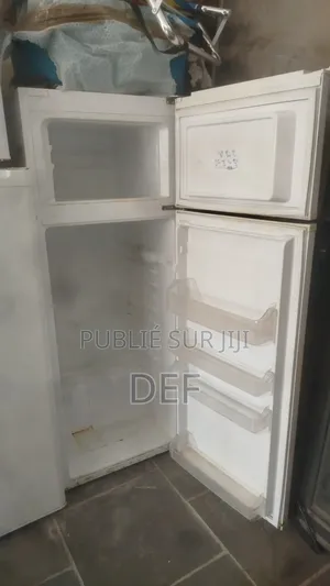 Frigo Funix Venant De France