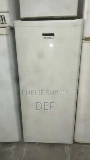 Frigo Funix Venant De France