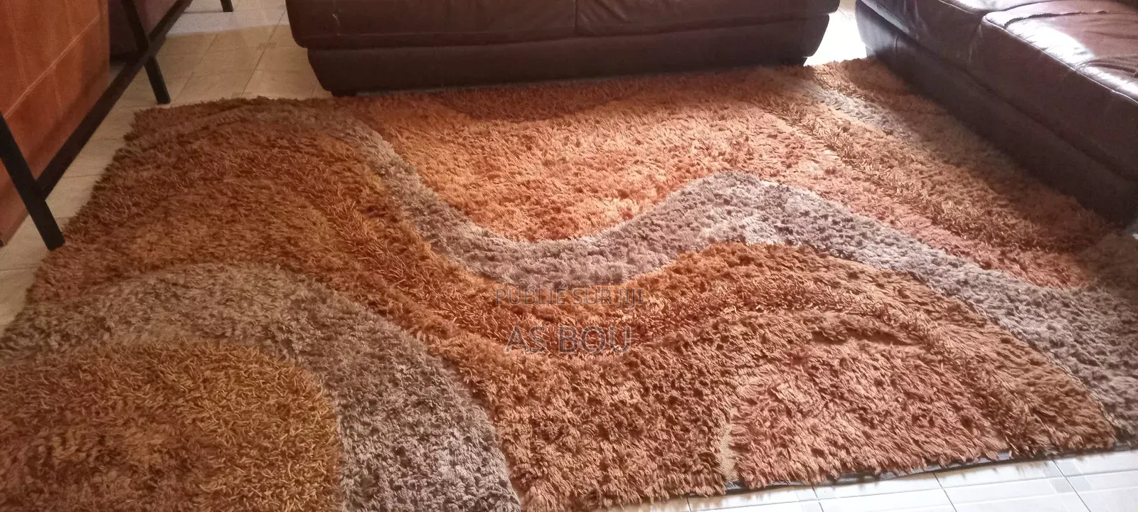 Salon Cuire Marron Bon Etat Avec Grand Tapis Et 2 Tableau