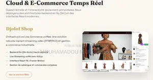 Developpeur De Site E-Commerce