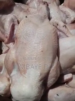 Vente De Poulets De Chaire