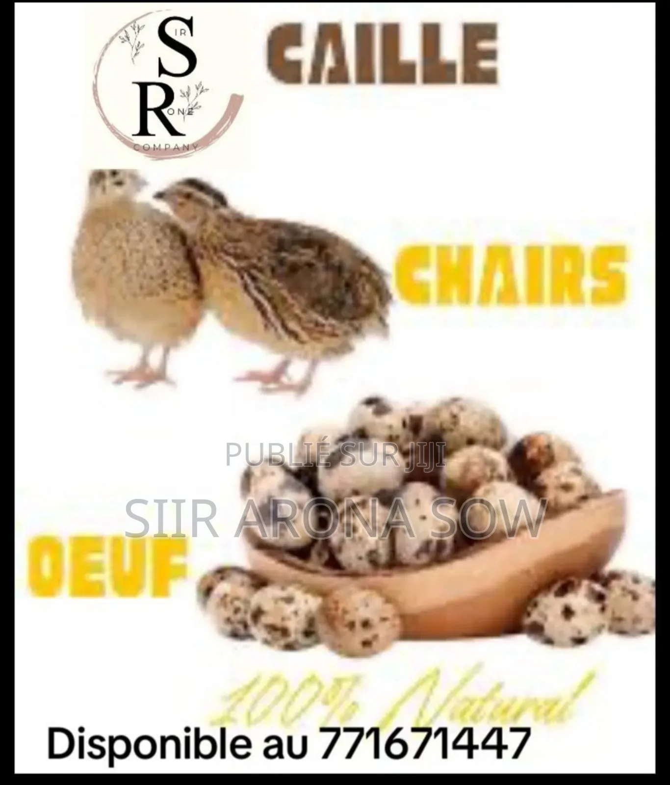 Cailles Sur Pied Et Chair De Cailles