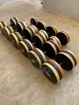 Haltère 10kg À 13000f. Livraison Gratuite À Dakar.