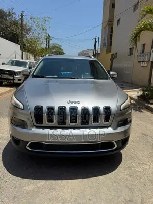 Jeep Cherokee 2016 Gris