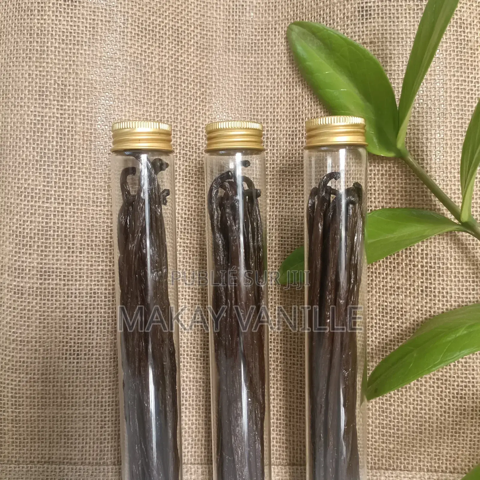 Vanille Bourbon De Madagascar