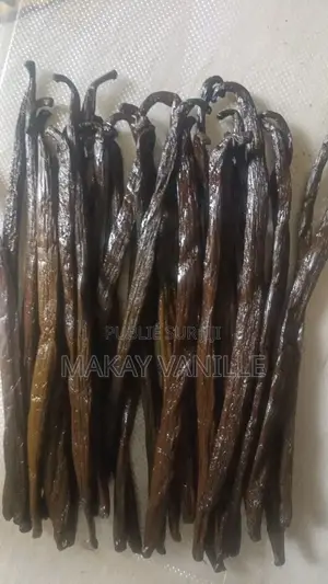 Vanille Bourbon De Madagascar