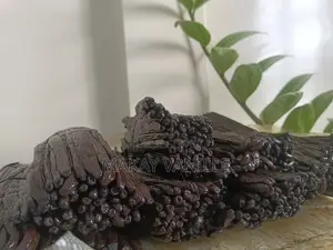 Vanille Bourbon De Madagascar
