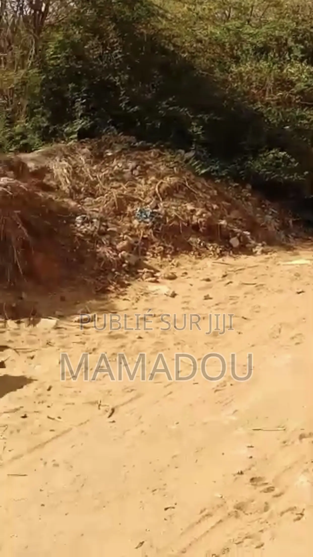 Terrain De 1000m2 À Vendre À Toubab Dialaw Derrière Centre Jule