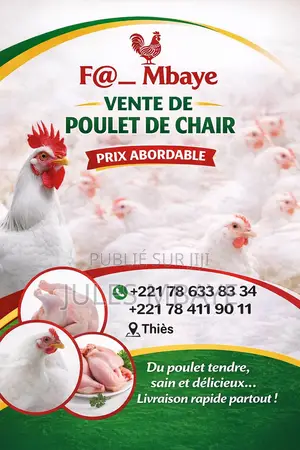 Vente Poulet De Chair