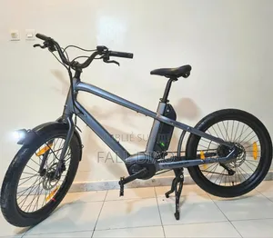 Autre 2024 Gris