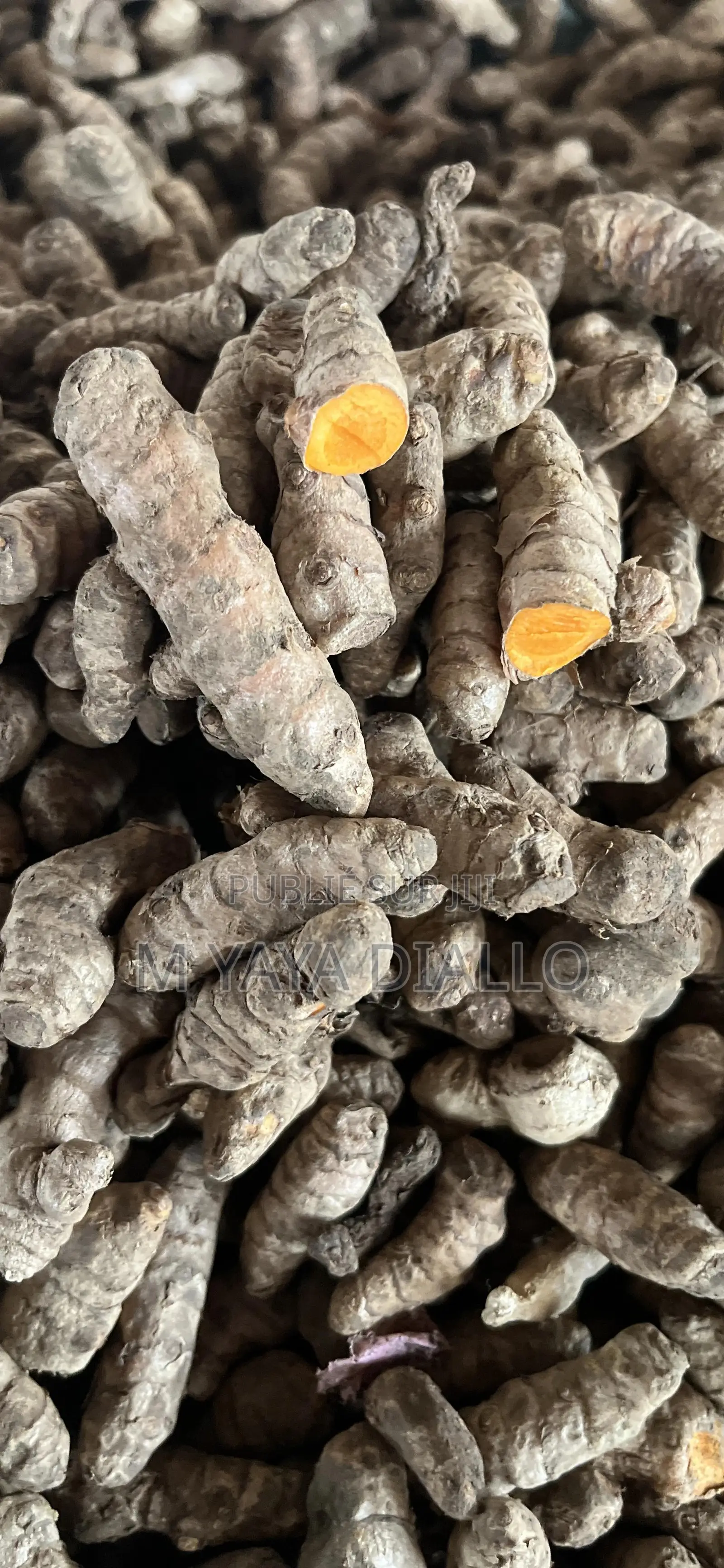 Graind De Curcuma