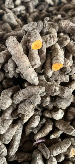 Graind De Curcuma