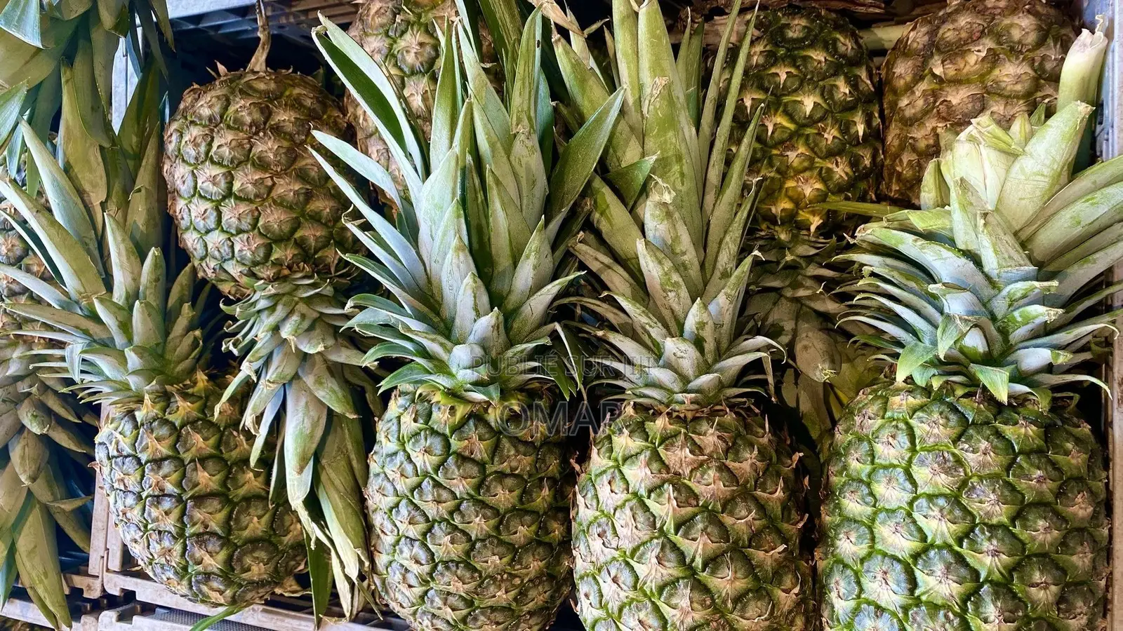 Ananas Gn L’Avocat
