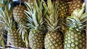 Ananas Gn L’Avocat