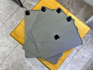 Apple iPad Pro 11 (2021) 256 GB Gris
