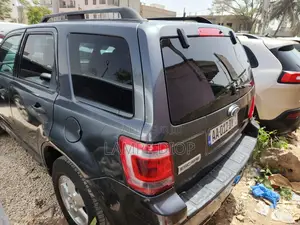 Ford Escape 2012 Gris