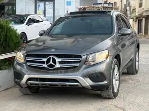 Mercedes-Benz GLC-Class 2018 Gris