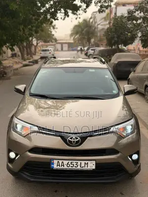 Toyota RAV4 2016 Marron
