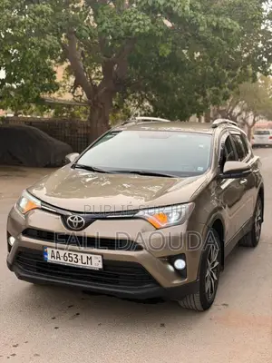 Toyota RAV4 2016 Marron