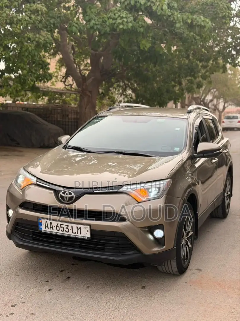 Toyota RAV4 2016 Marron