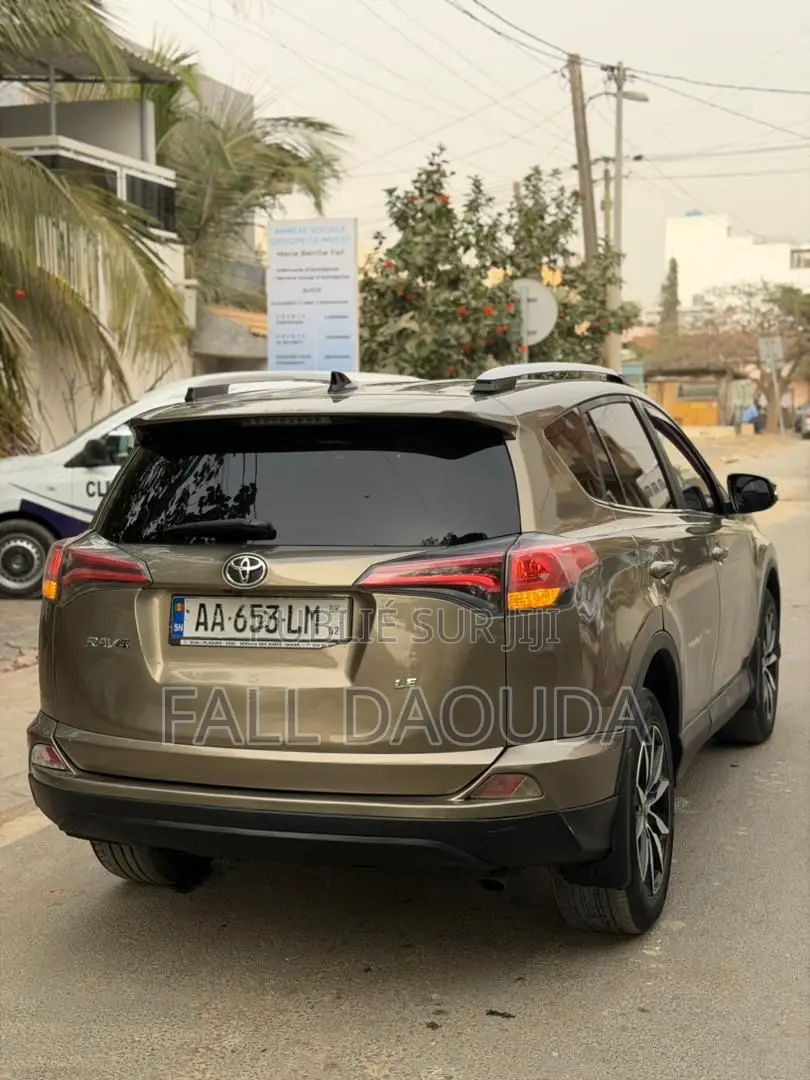 Toyota RAV4 2016 Marron
