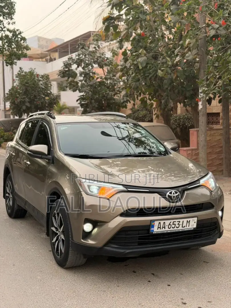 Toyota RAV4 2016 Marron