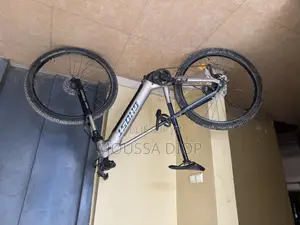 Vélo Électrique
