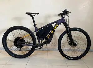 Autre 2023 Violet