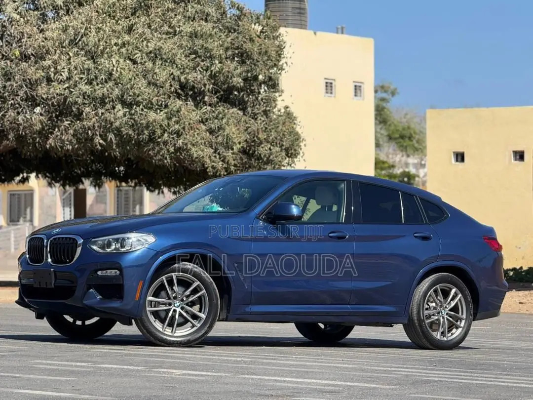 BMW X4 2019 Bleu