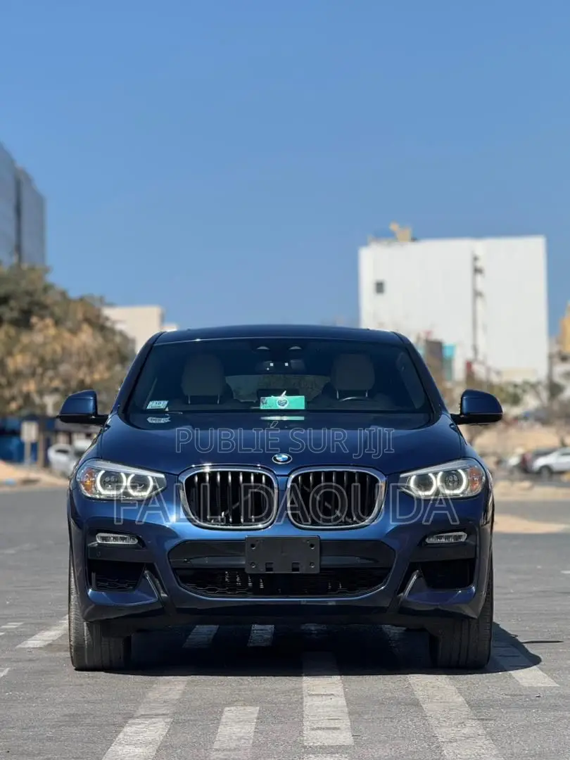 BMW X4 2019 Bleu