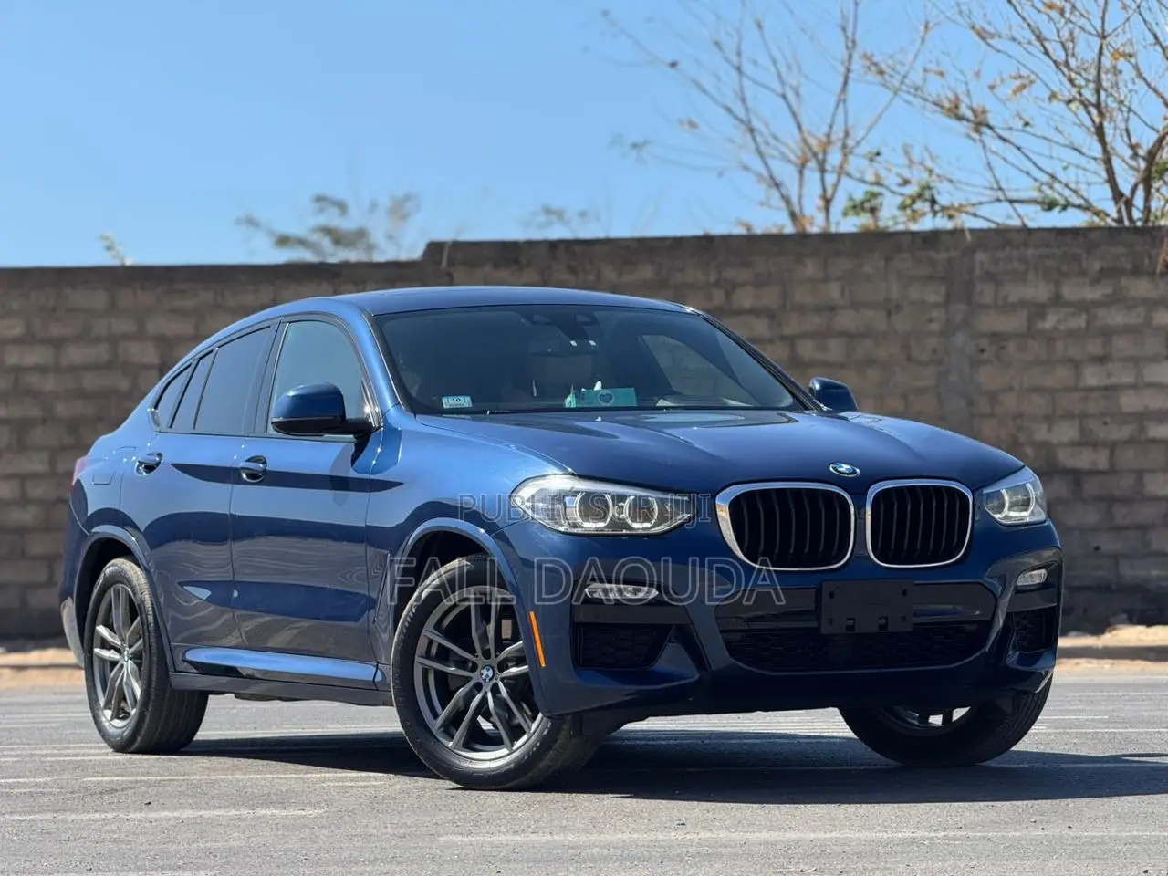 BMW X4 2019 Bleu