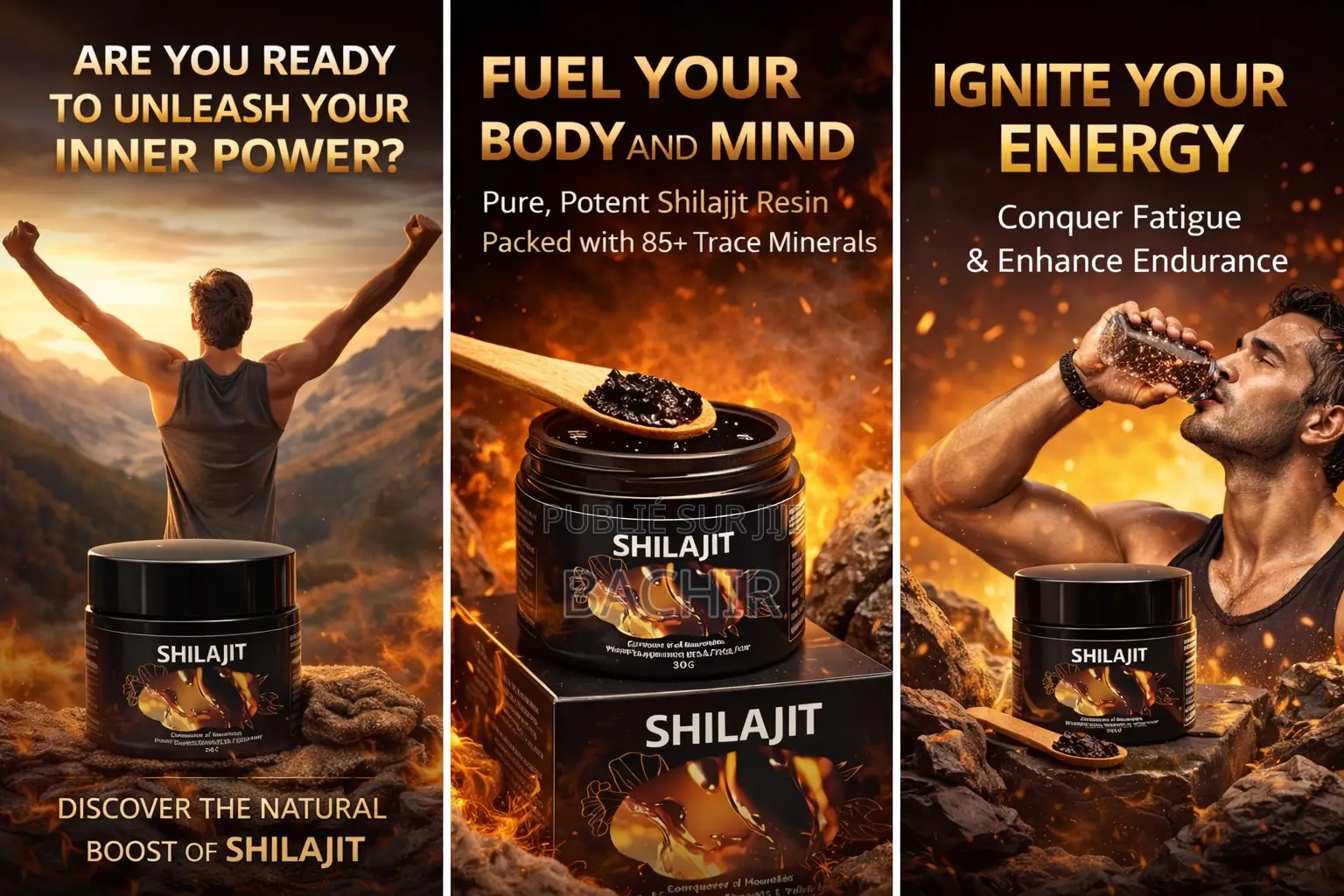 Shilajit 30g