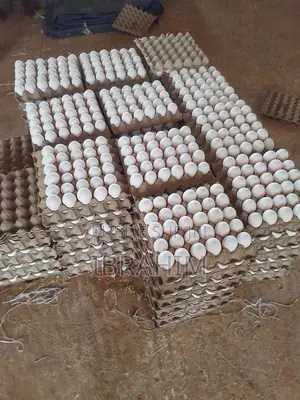 Œufs De Poules