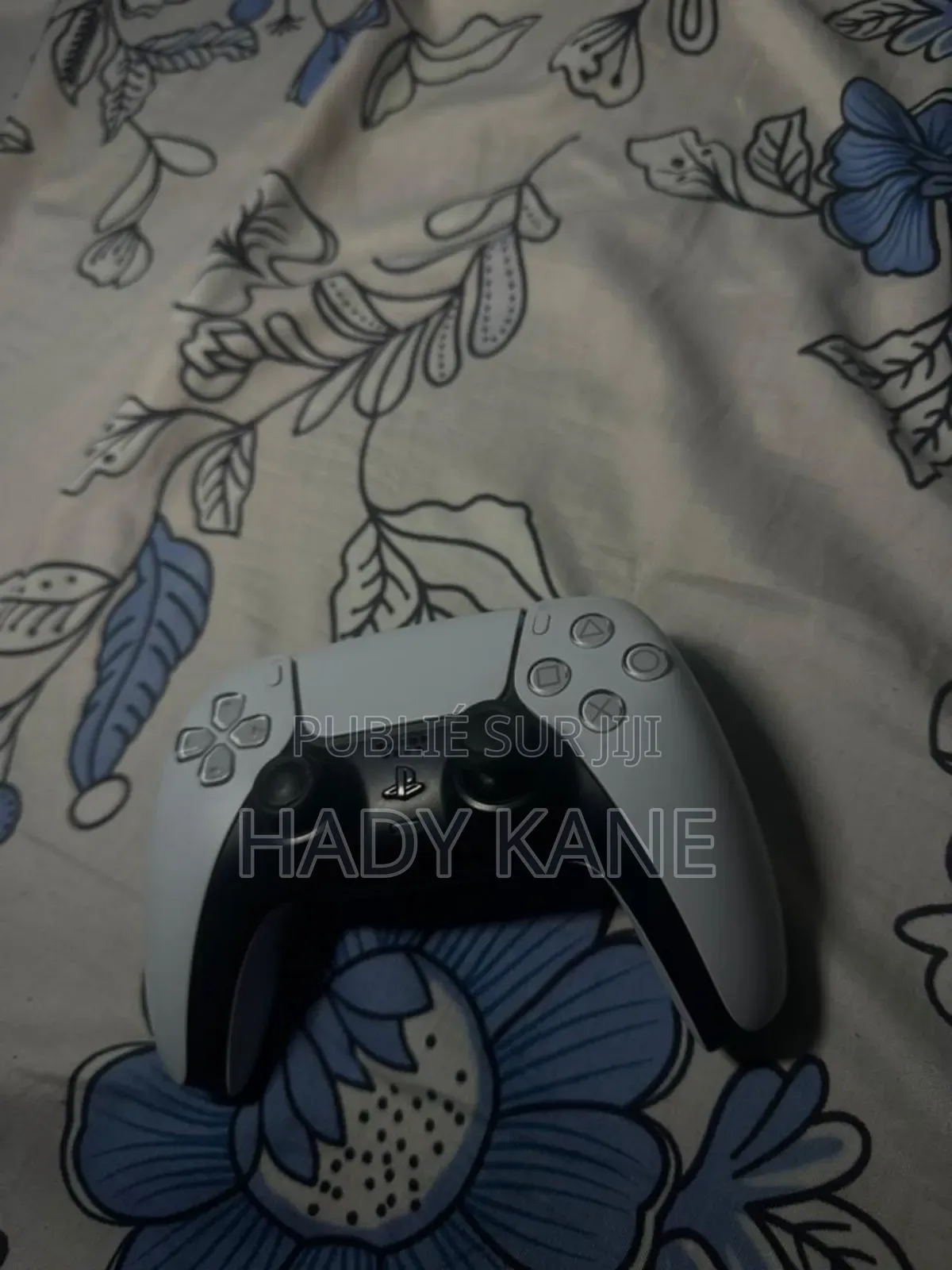 Manette Ps5 Customisé