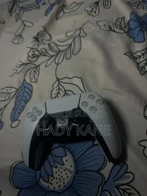 Manette Ps5 Customisé