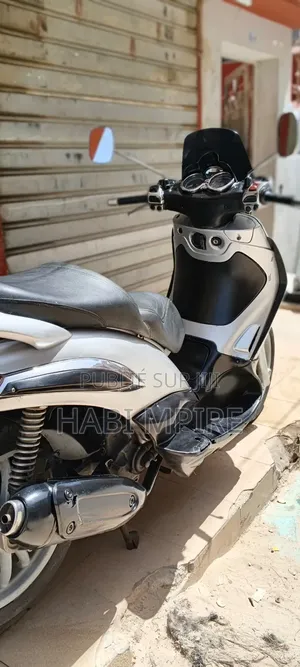 Piaggio Trotinette 2017 Gris