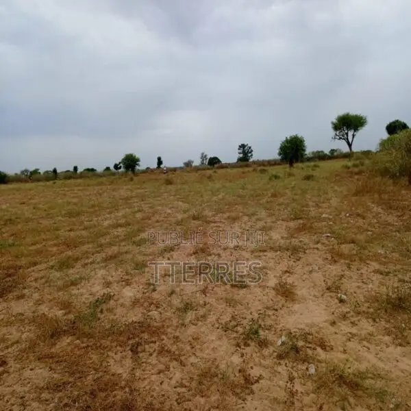 Terrain Agricole De 4.300 M2 Vers Tassette – Thiès