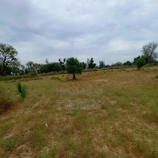 Terrain Agricole De 4.300 M2 Vers Tassette – Thiès
